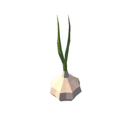 Garlic A